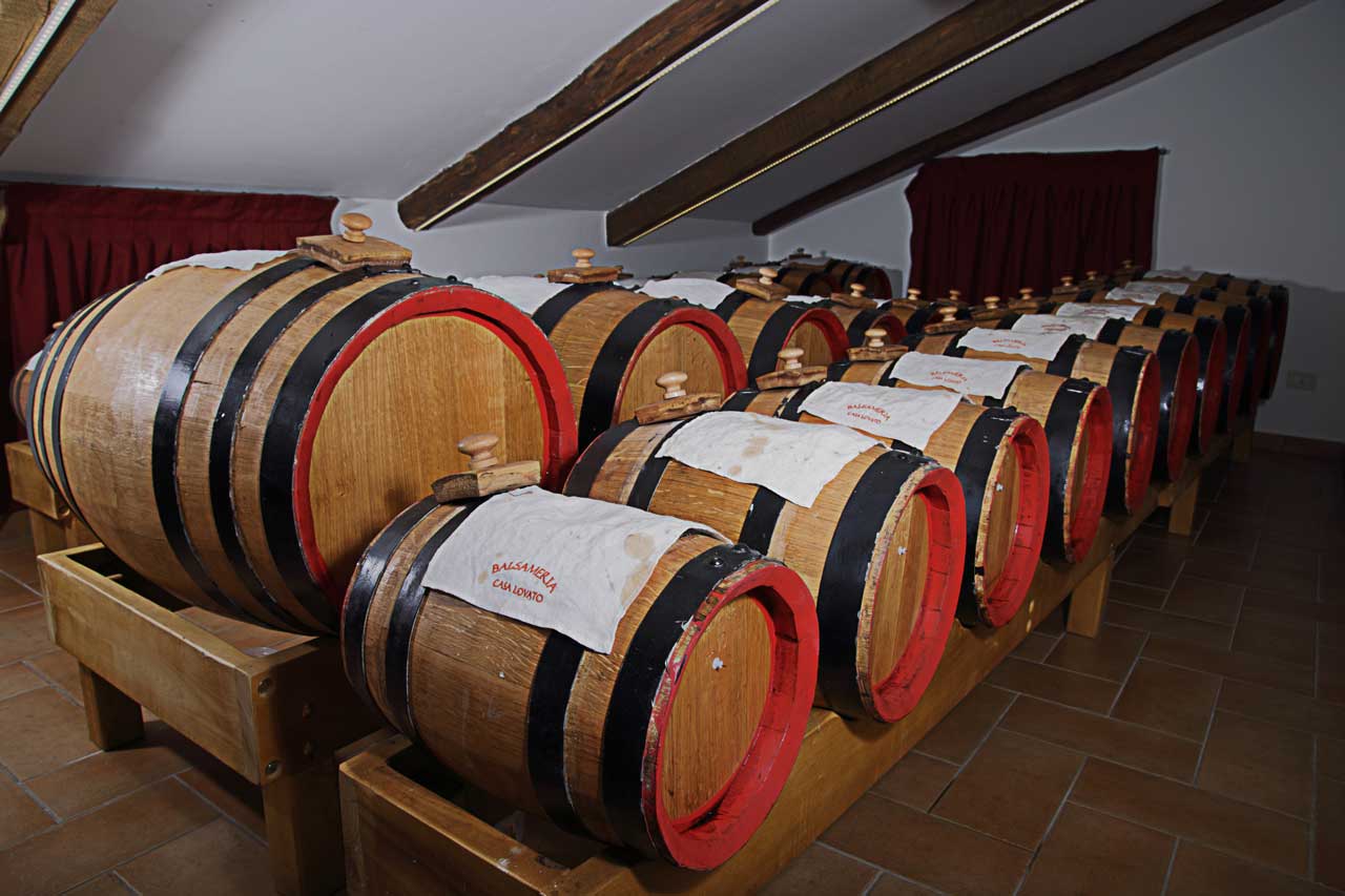 aceto balsamico di modena, aceto balsamico, balsamico, condimento balsamico, balsameria, nogarole vicentino, pietro lovato, botti, botticelle, botti madri, maturazione, batteri acetici