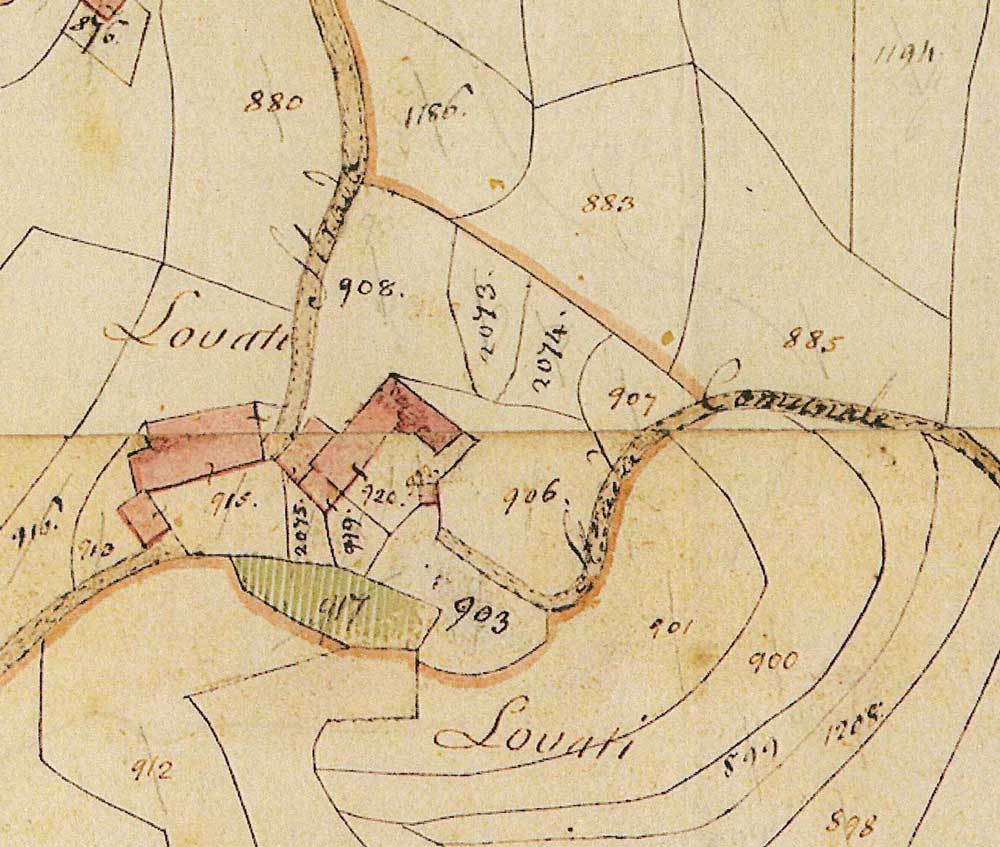 mappa-balsameria